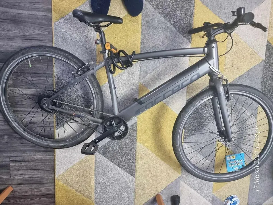 Carrera impel im 2022