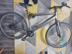 Carrera impel im 2022