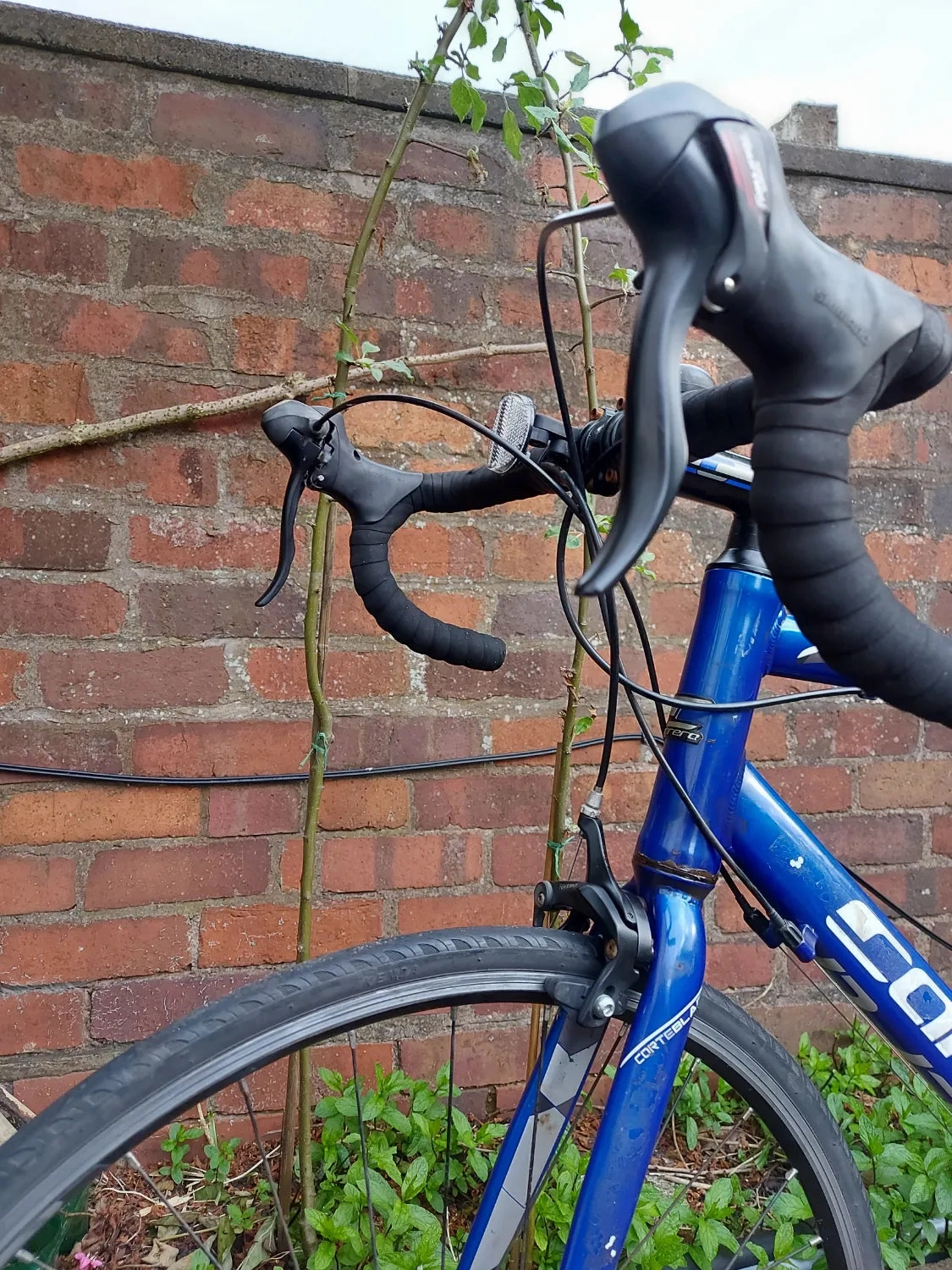 Carrera Crosscity Electric Bike 2017