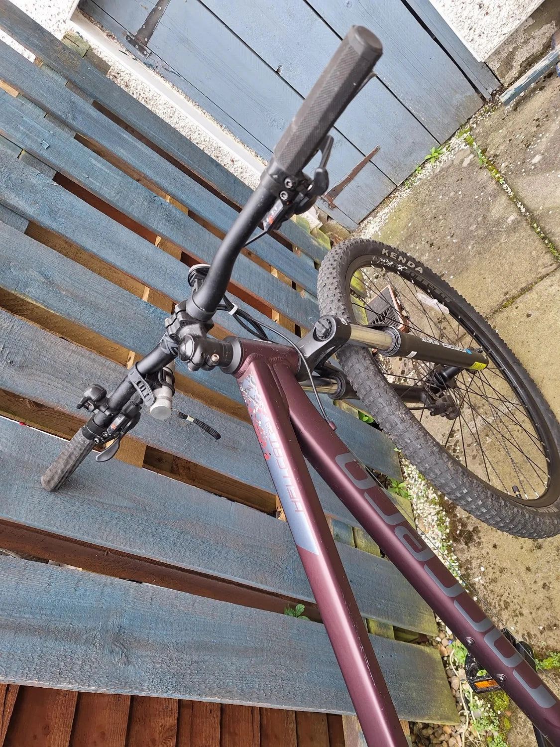 Carrera Hellcat Womens Mountain Bike 2020