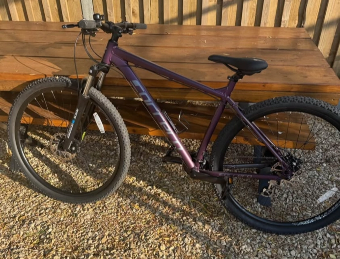 Carrera Hellcat Womens Mountain Bike 2020