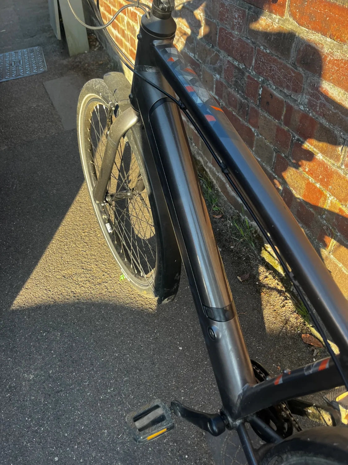 Carrera impel im 2022