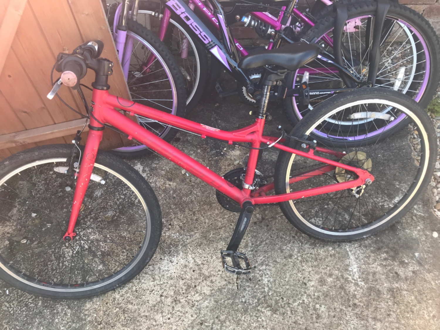 Carrera Saruna Junior Hybrid Bike 2022