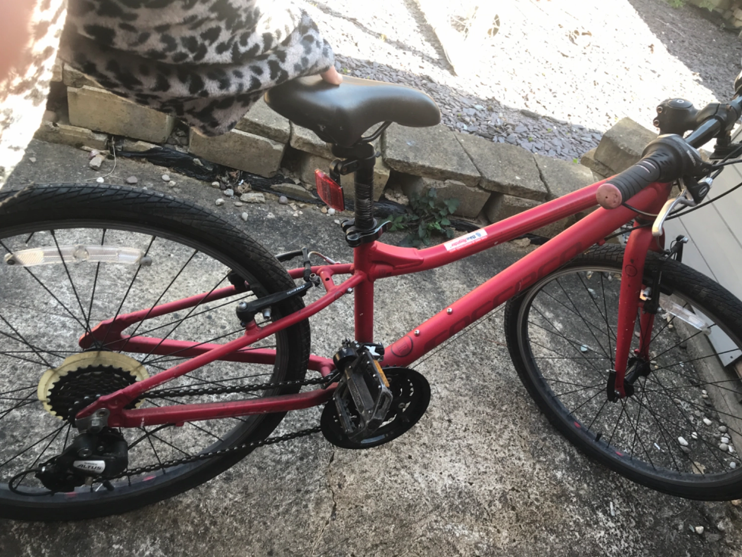 Carrera Saruna Junior Hybrid Bike 2022
