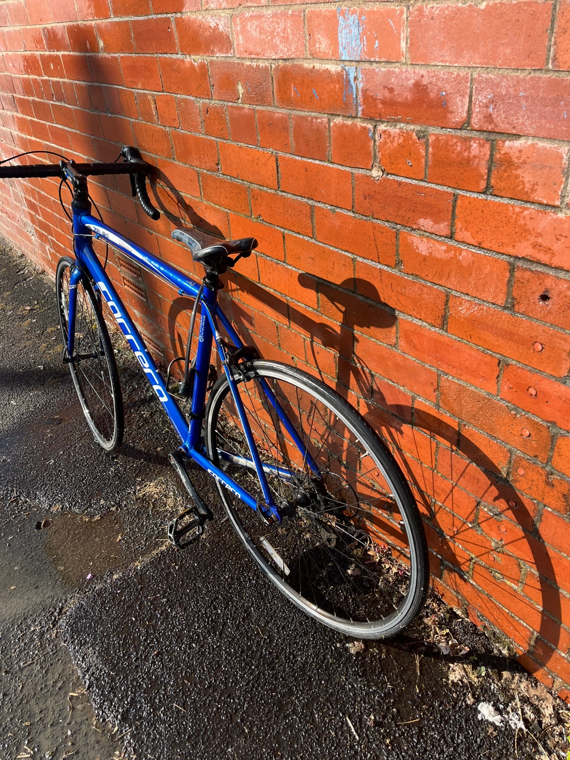 Carrera Zelos Mens Road Bike 2020