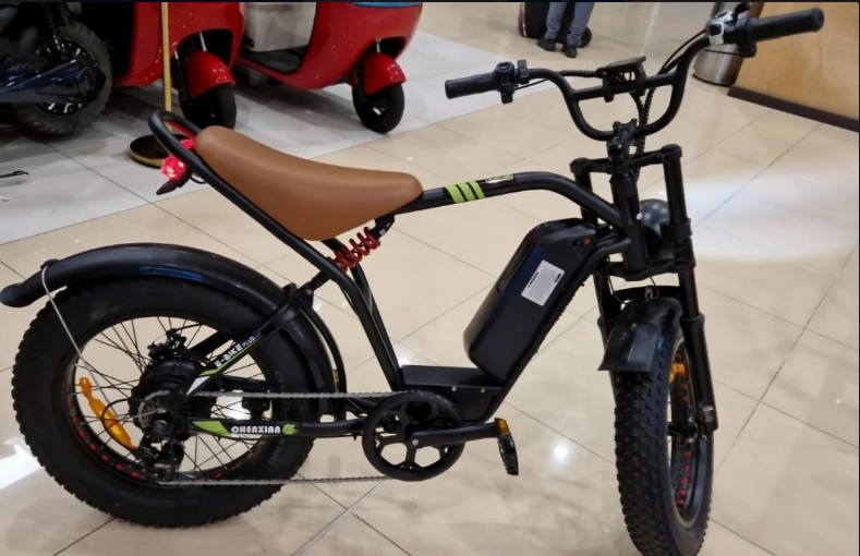 Chenxian Ebike Plus 2023