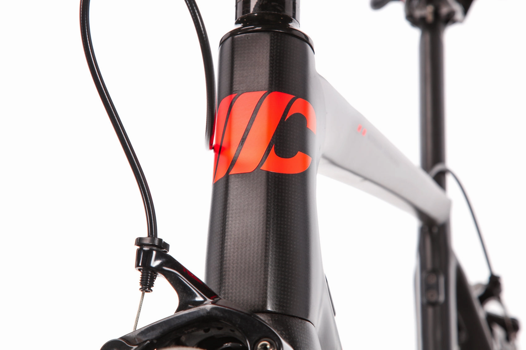 Cipollini MCM Road Bike - 2019, Large