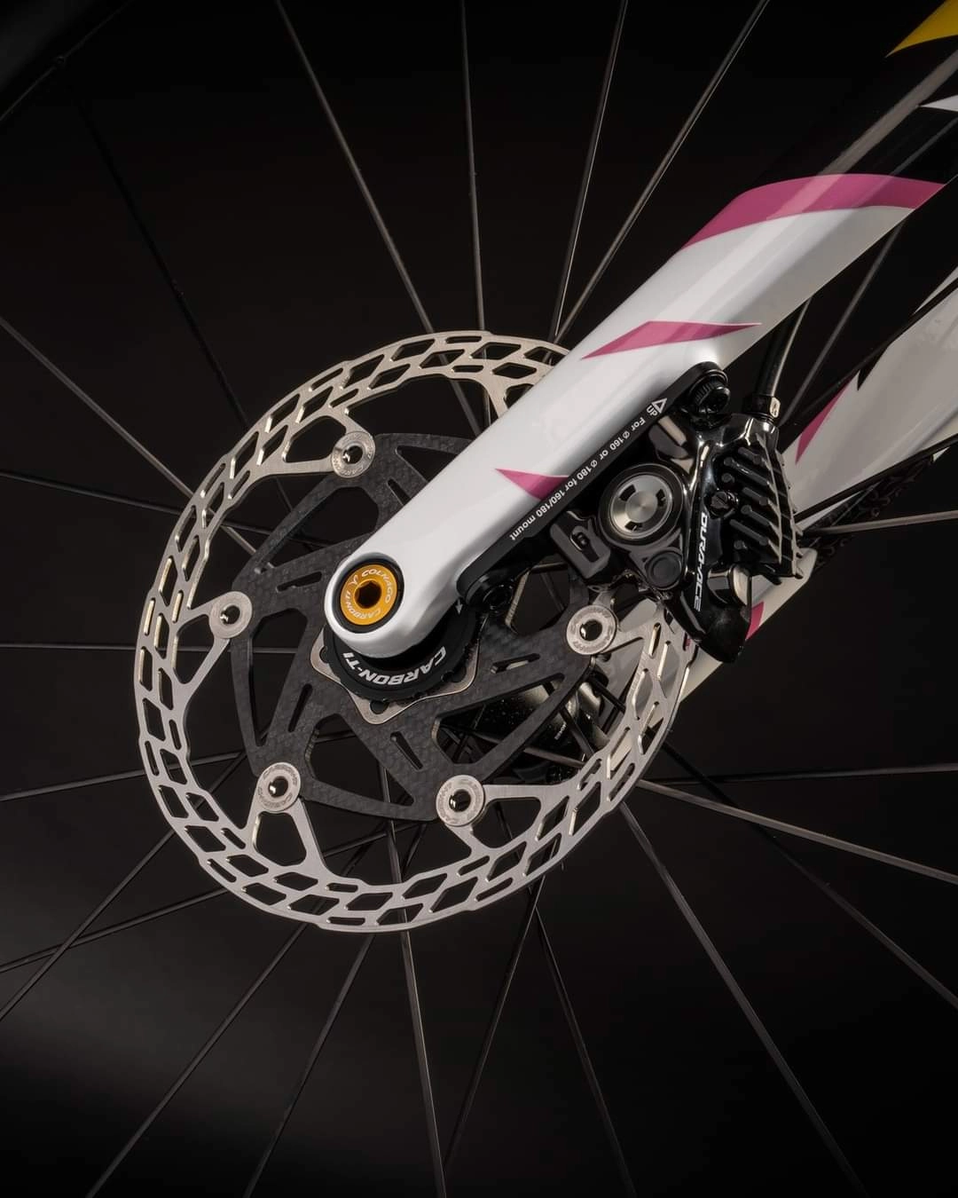 Colnago V4rs Limited Edition Tadej