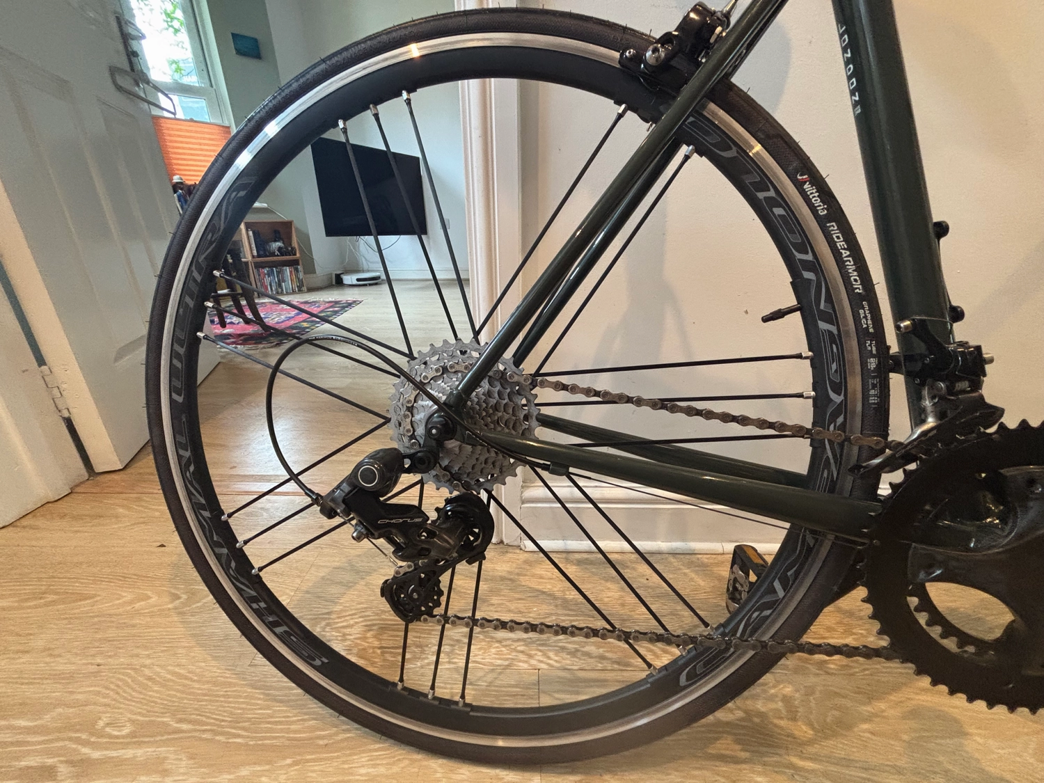 Condor Acciaio Frameset 2024