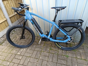 crazybird  seta 2024
