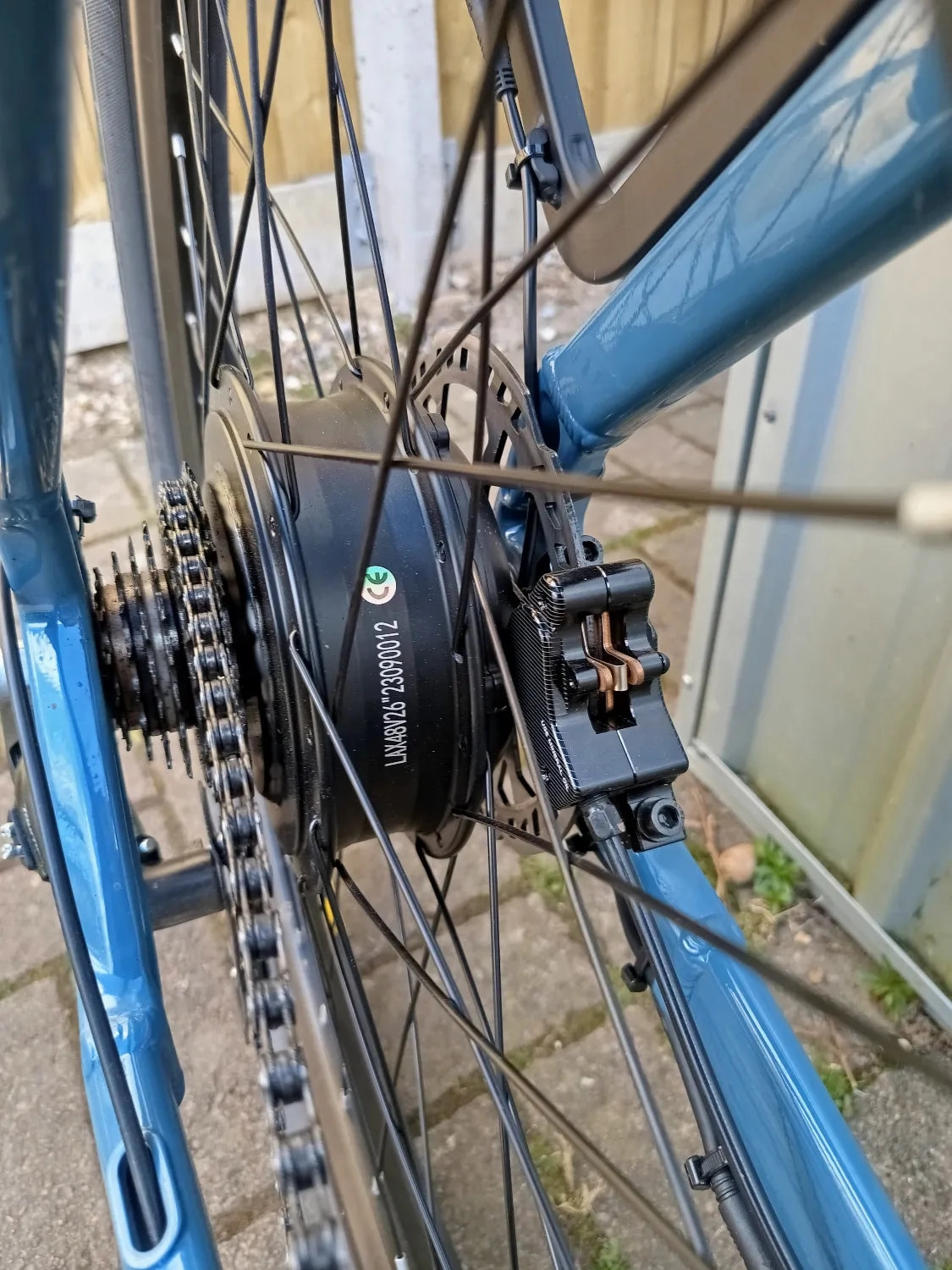 crazybird  seta 2024