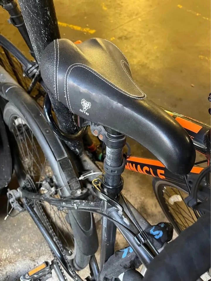 Dahon Joe Murray special edition 2004