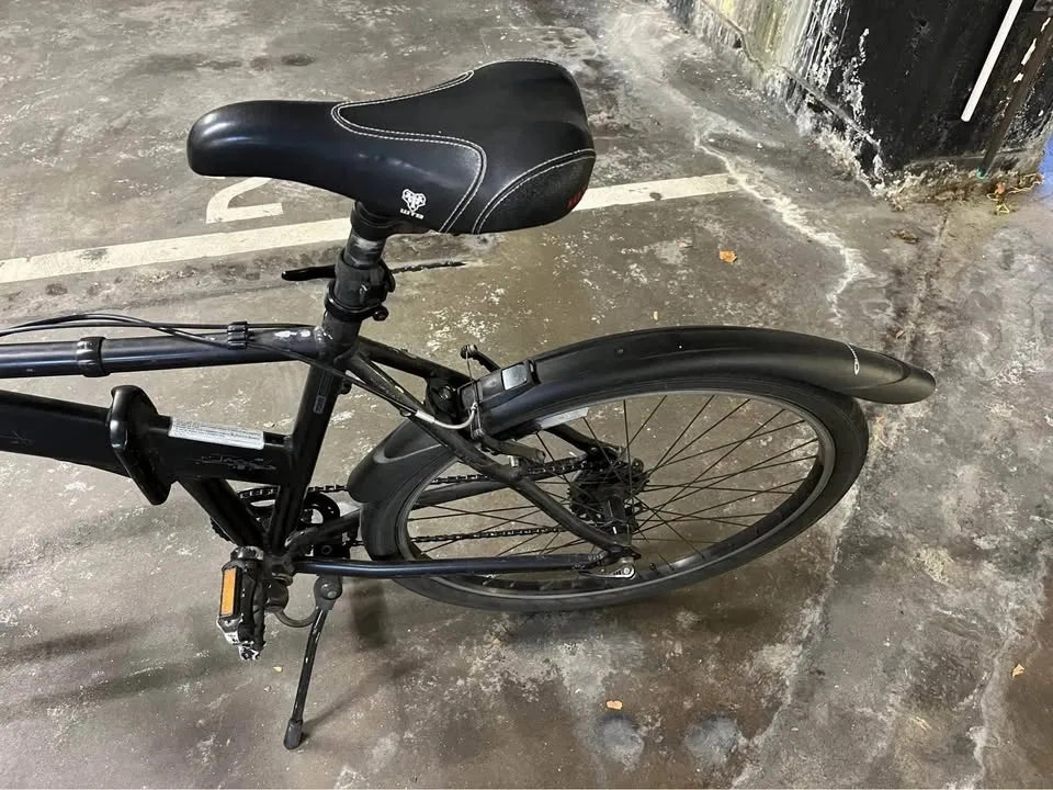 Dahon Joe Murray special edition 2004