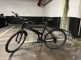 Dahon Joe Murray special edition 2004