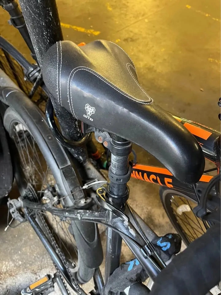 Dahon Joe Murray special edition 2004