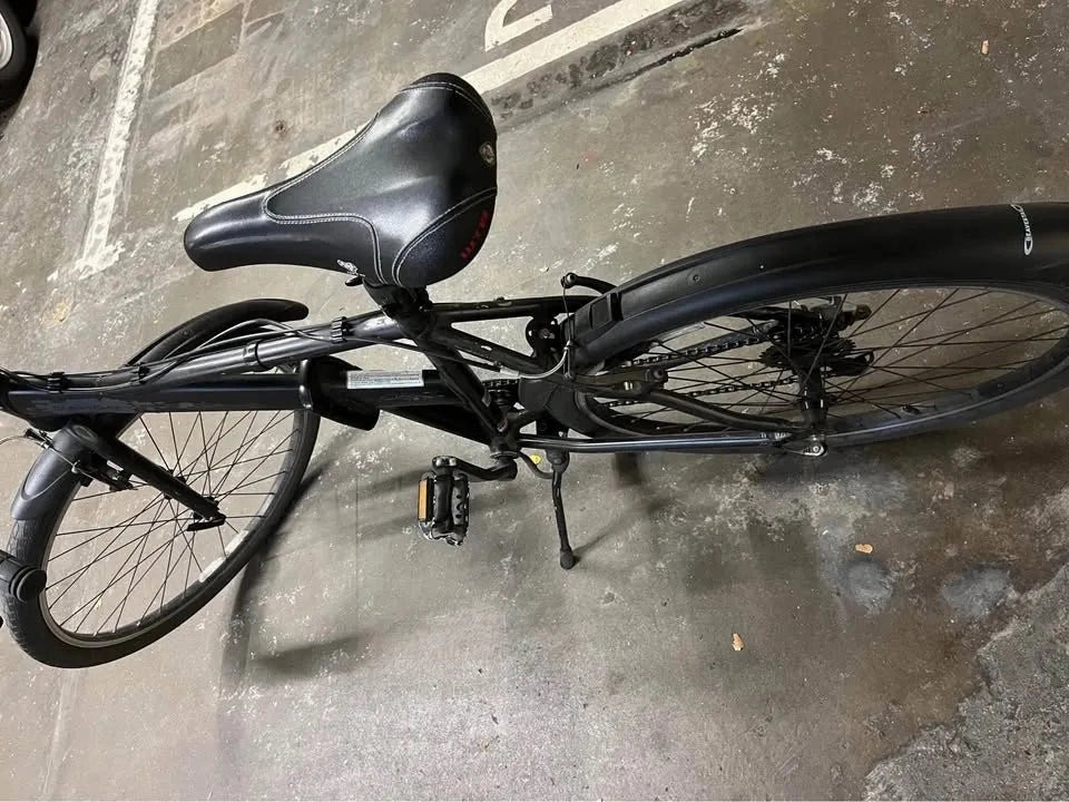 Dahon Joe Murray special edition 2004