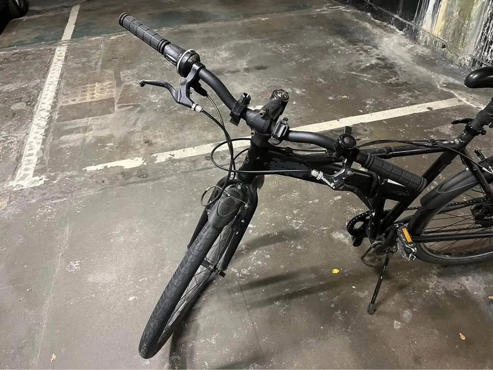 Dahon Joe Murray special edition 2004