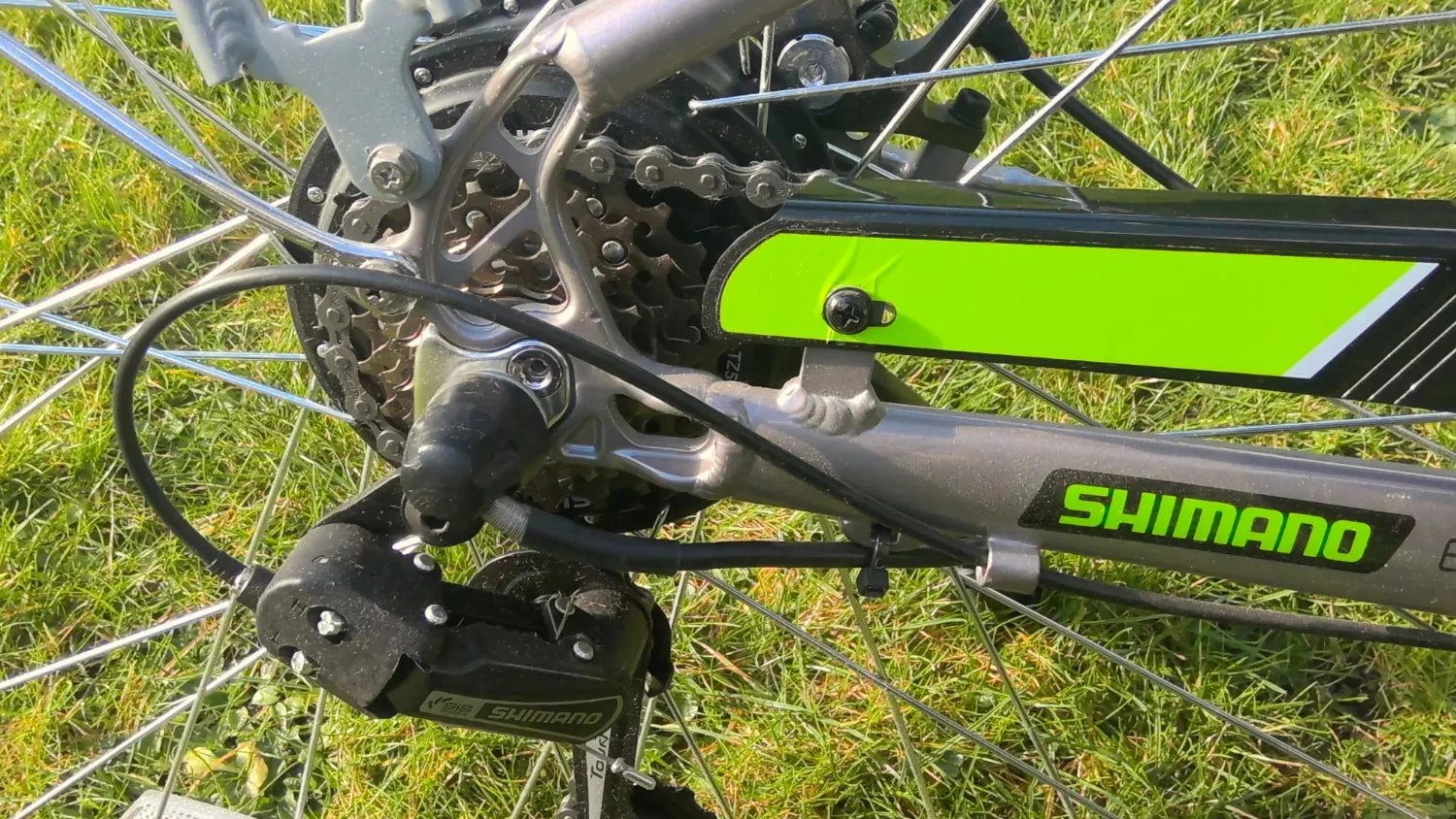 Dallingridge Harlow Step Through Hybrid Electric Bike 2024