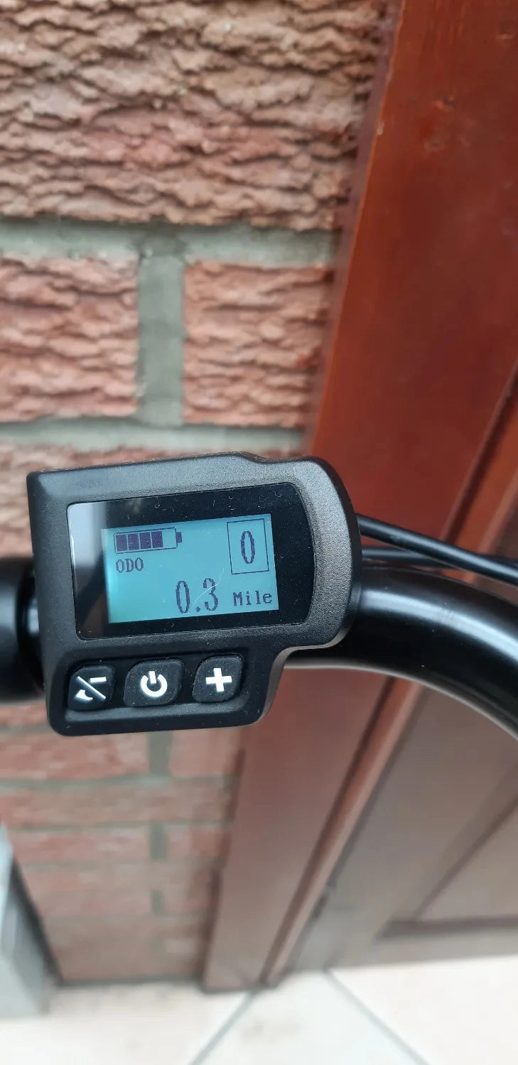 Dallingridge Harlow Step Through Hybrid Electric Bike 2024