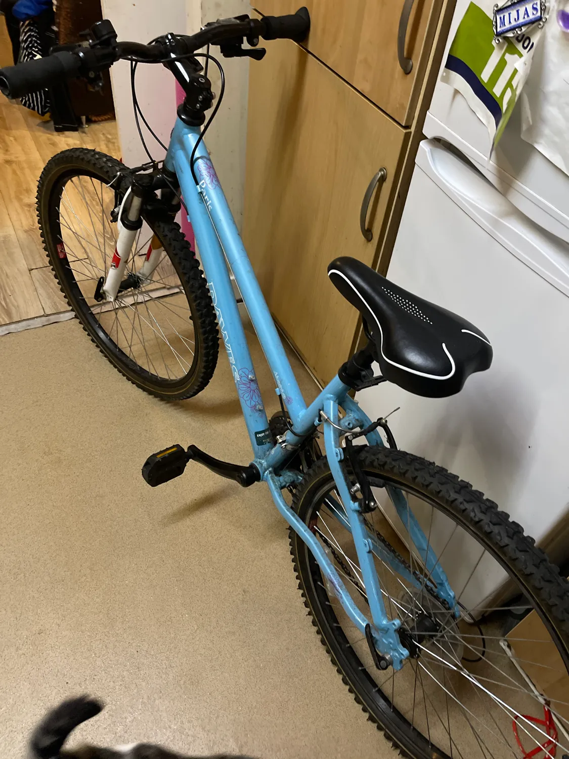 Dawes  Paris HT Mountain bike  2015