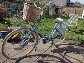 Electra Amsterdam Royal 8i 2019