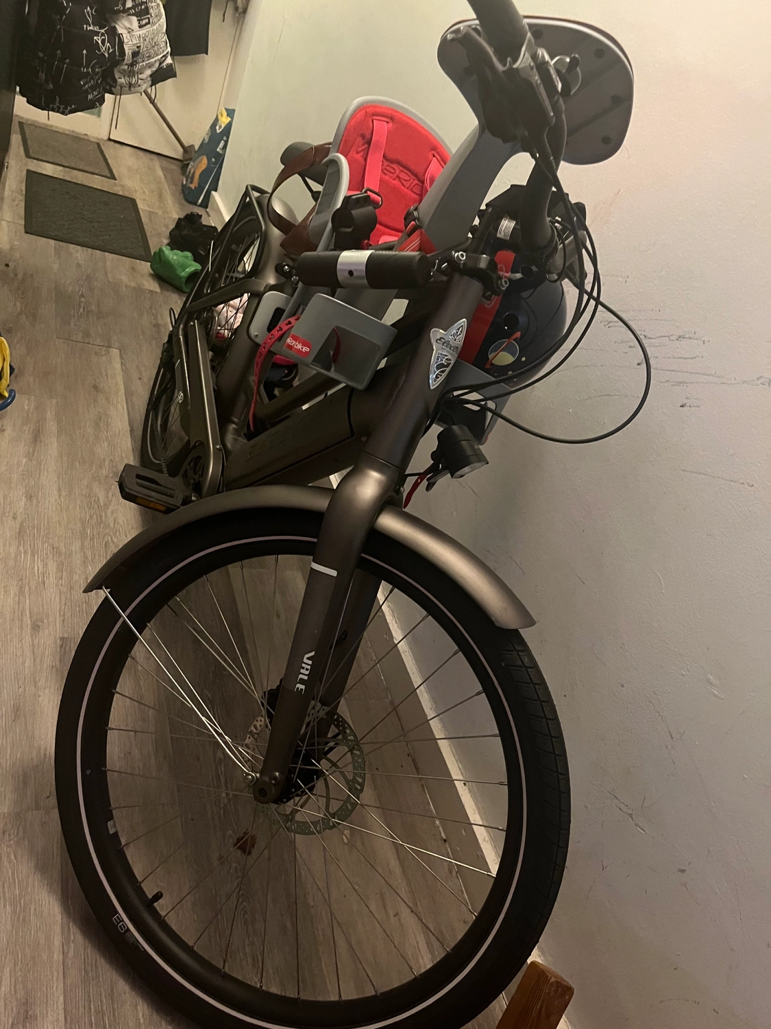 Electra Vale Go! 9D EQ 2022