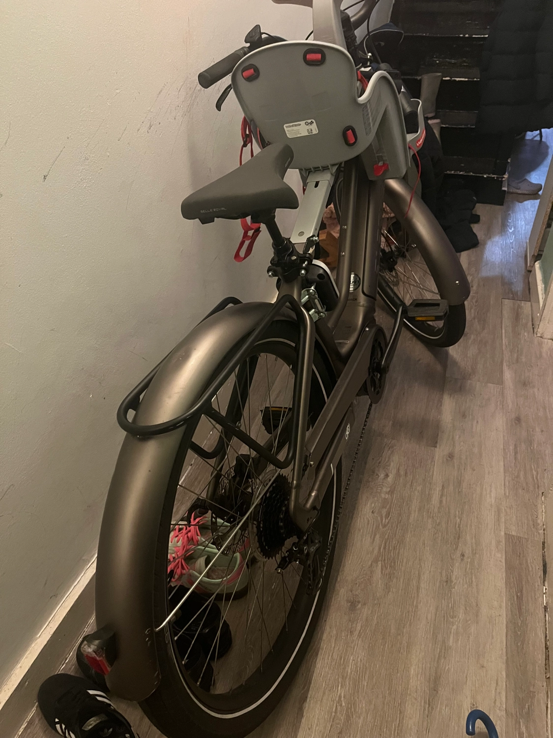 Electra Vale Go! 9D EQ 2022