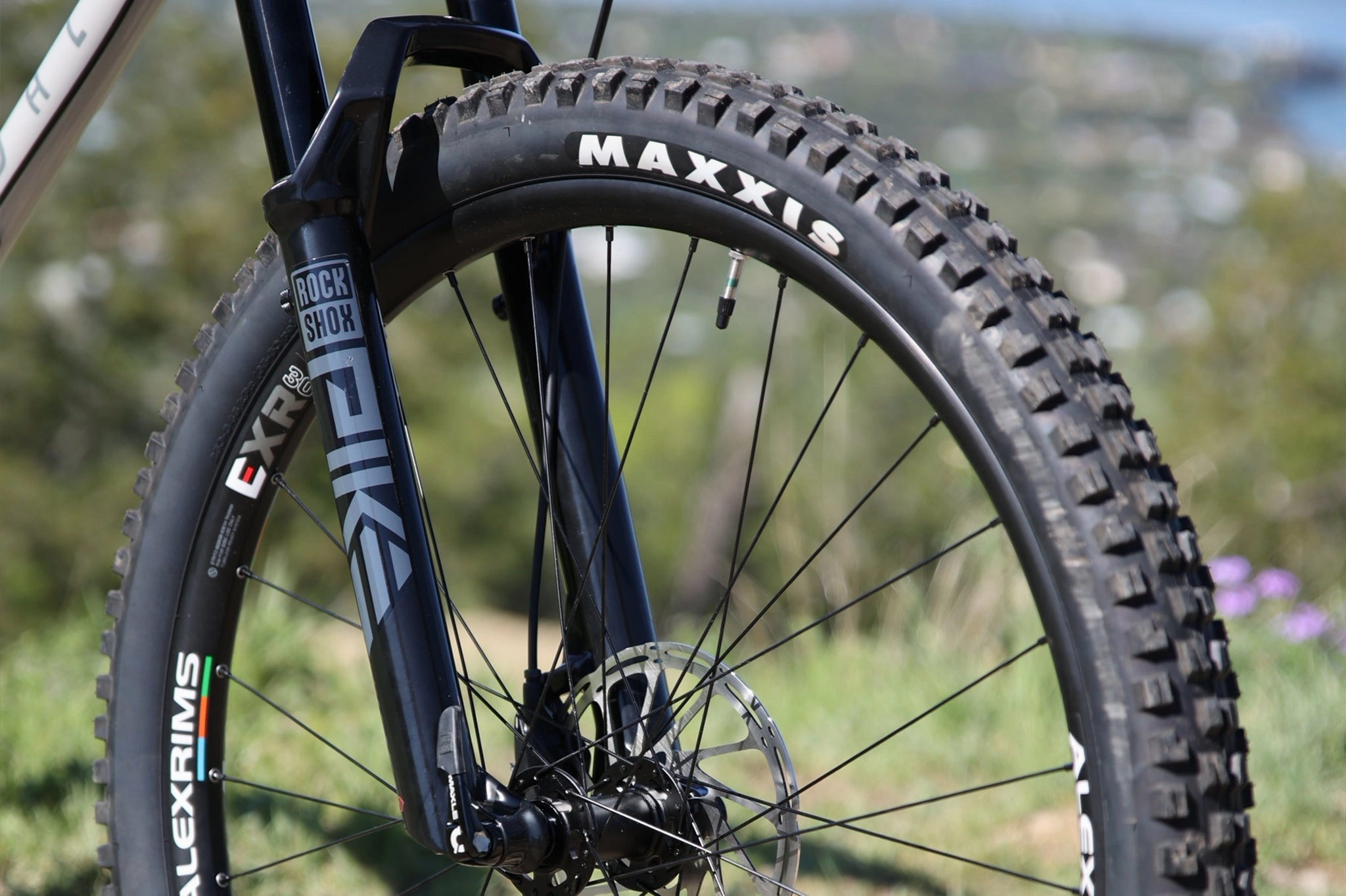 Elevator 29" Hardtail (2025)