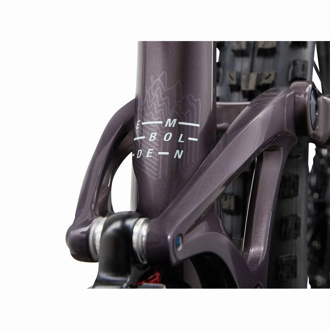Embolden 27.5" 1 (2024)