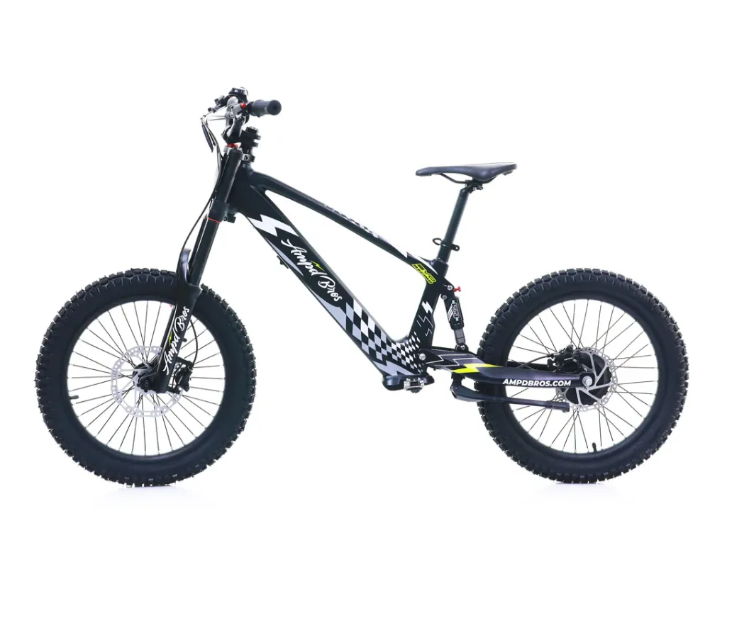 EVO RACING 20" ELECTRIC BIKE