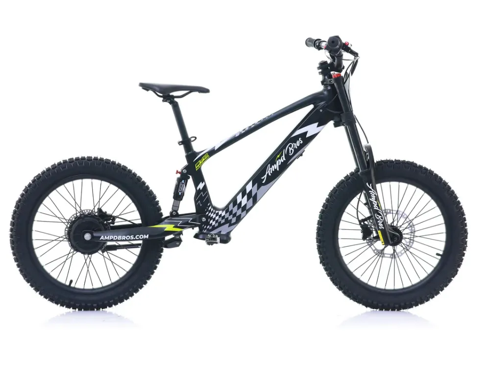 EVO RACING 20" ELECTRIC BIKE