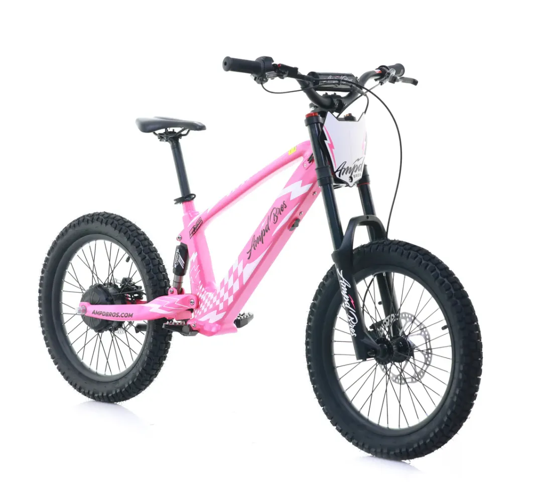 EVO RACING 20" ELECTRIC BIKE