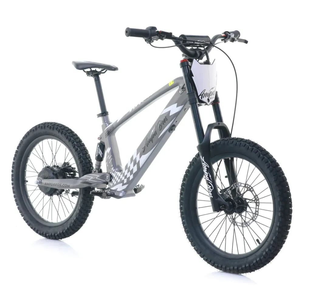 EVO RACING 20" ELECTRIC BIKE