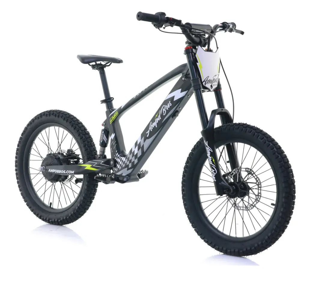 EVO RACING 20" ELECTRIC BIKE