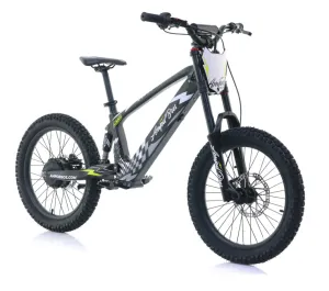 EVO RACING 20" ELECTRIC BIKE