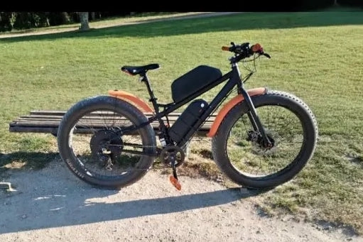Fat bike Electric bike  2023
