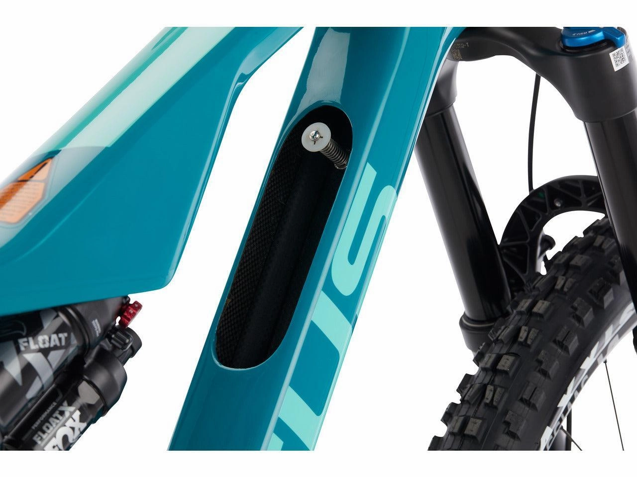 Focus JAM 8.9 Carbon Mountain Bike  Blue Green