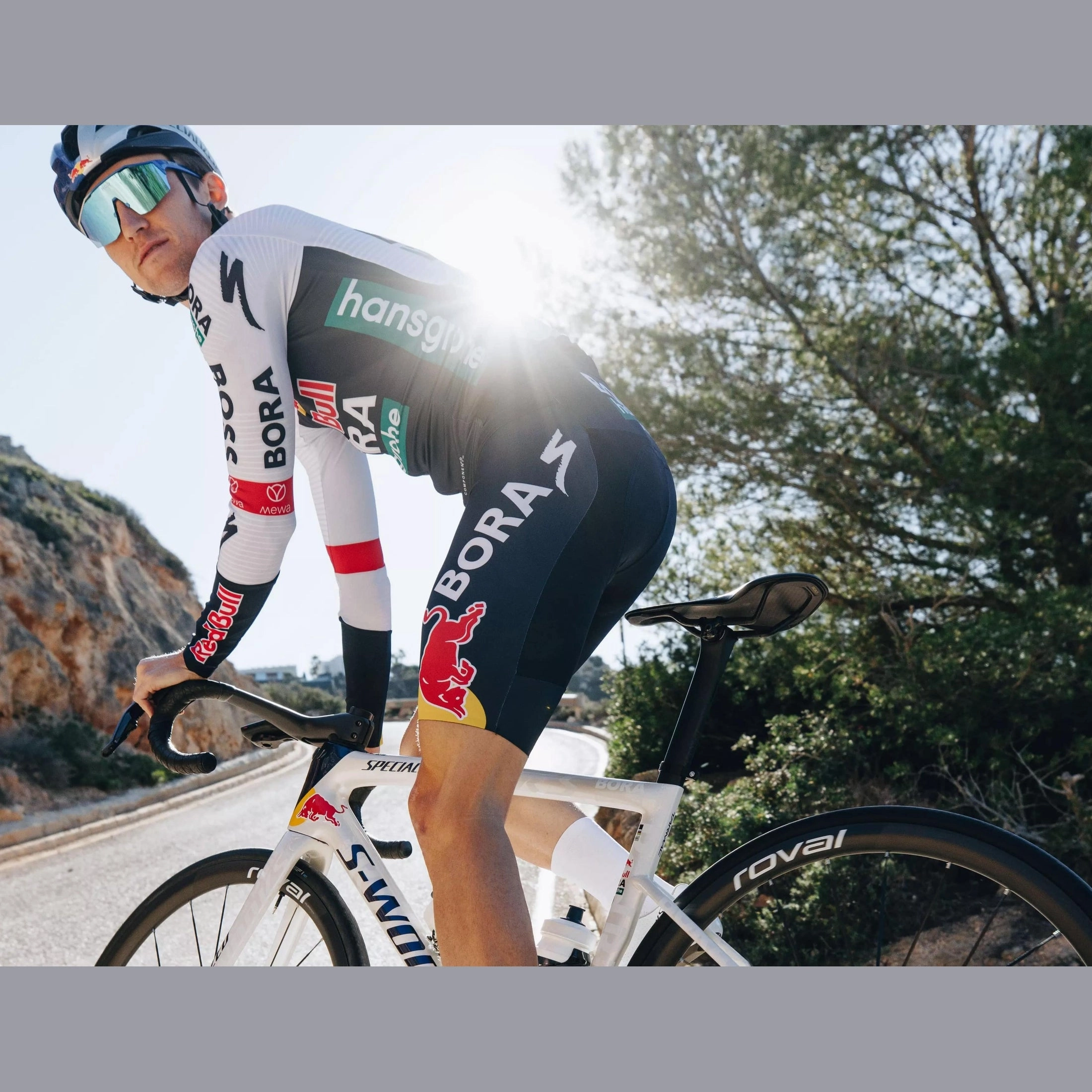 Frame Specialized S-Works Tarmac SL8 - Red Bull - Bora Hansgrohe 