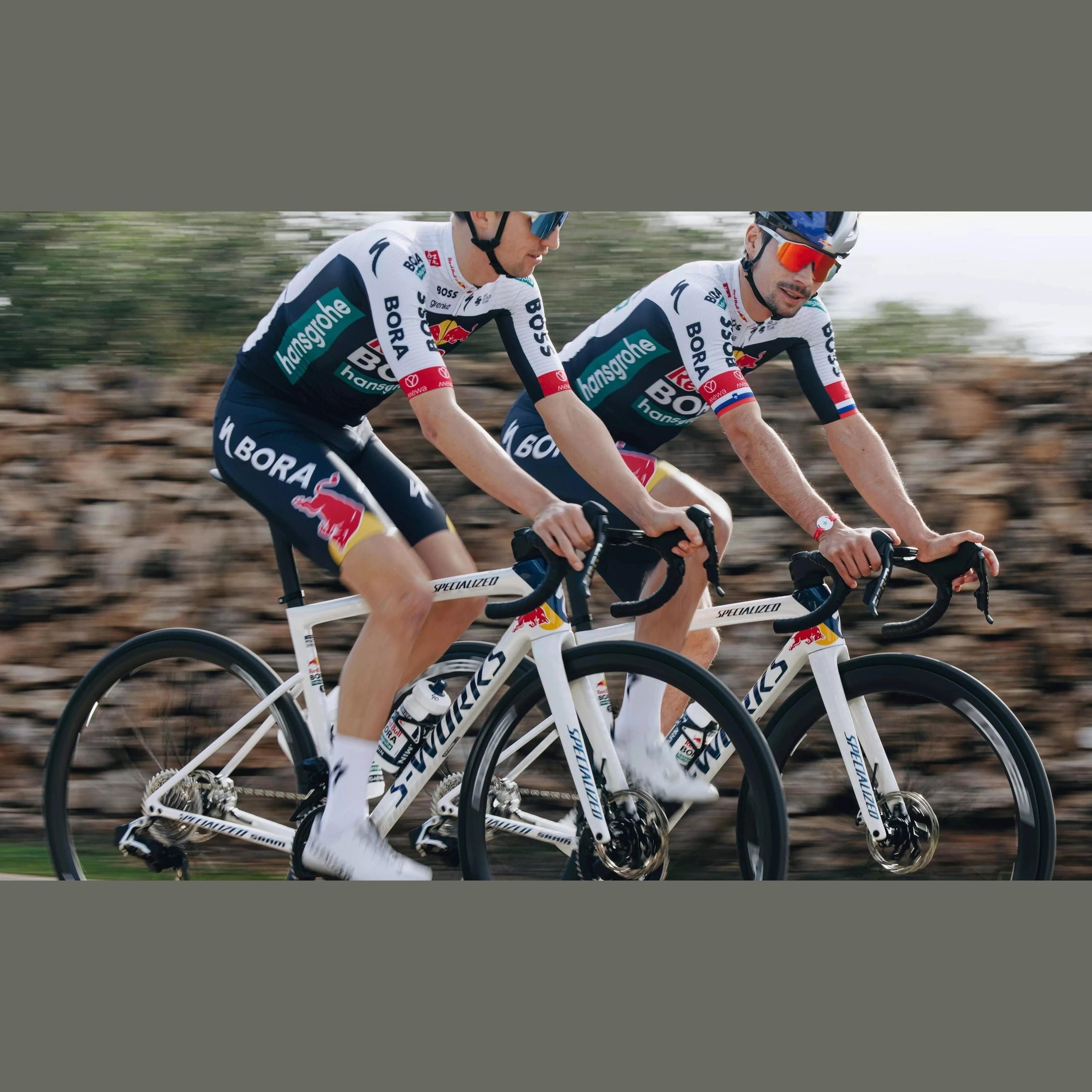 Frame Specialized S-Works Tarmac SL8 - Red Bull - Bora Hansgrohe 