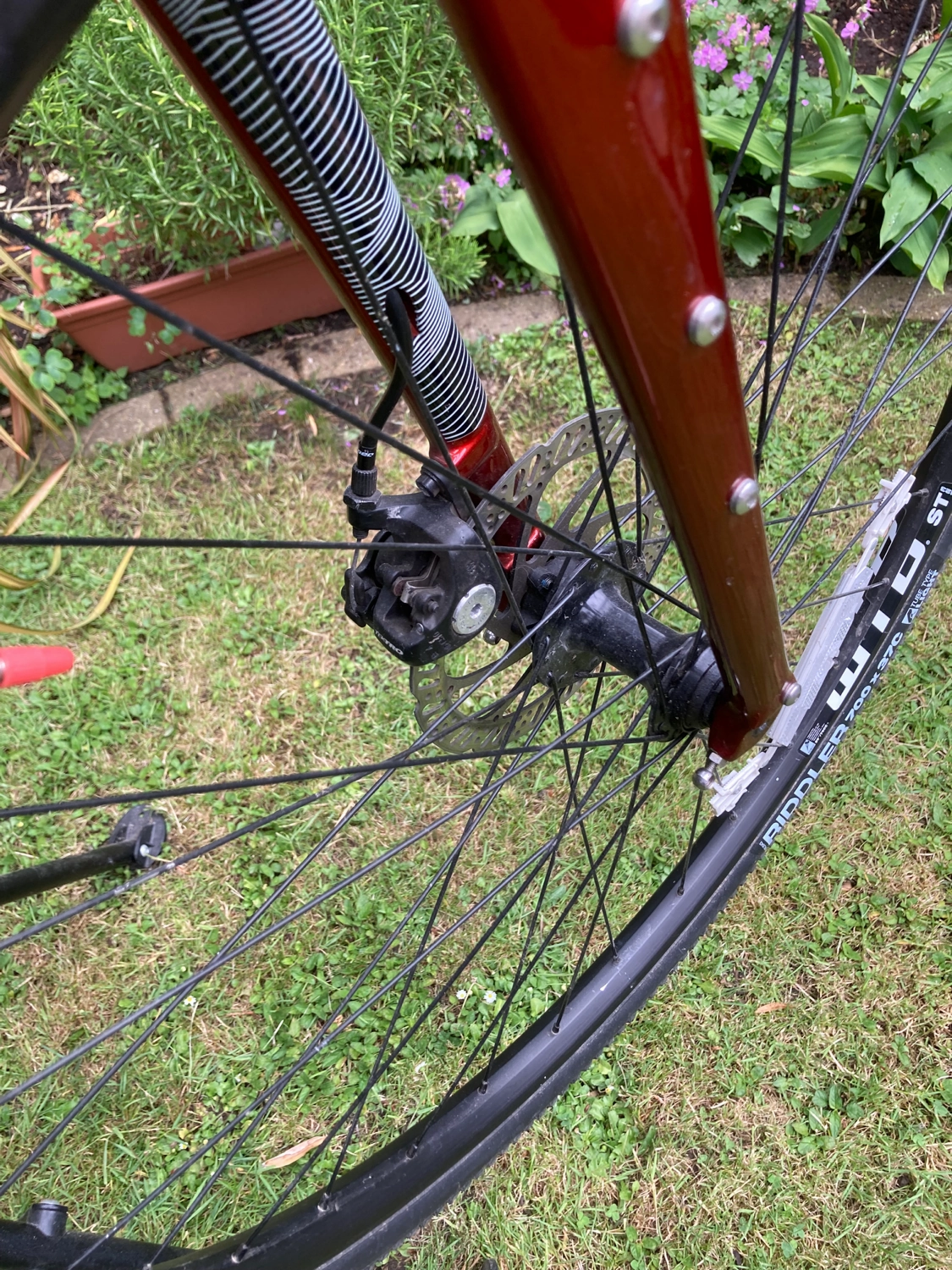 Fuji Jari 2.1 2021