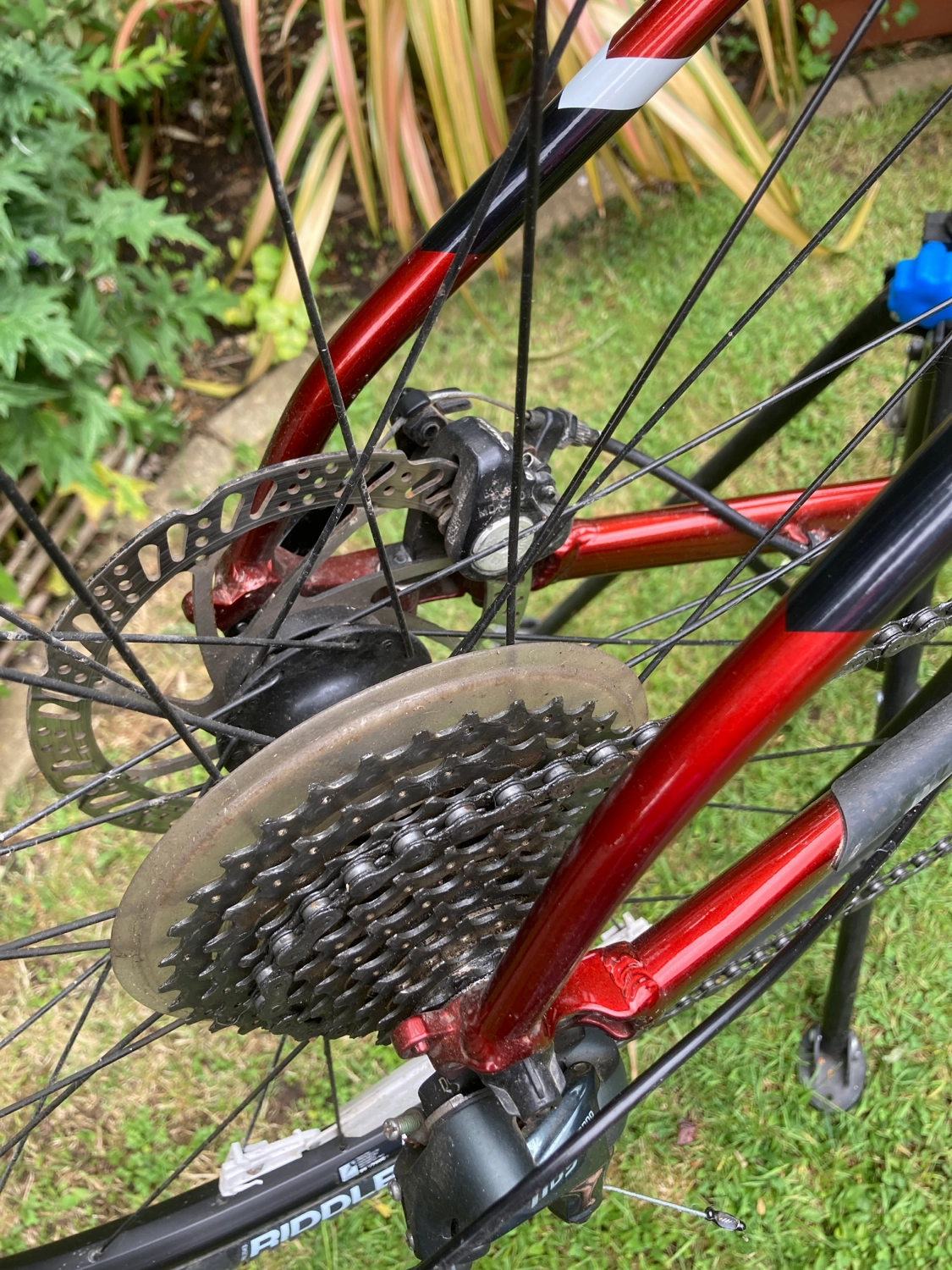 Fuji Jari 2.1 2021