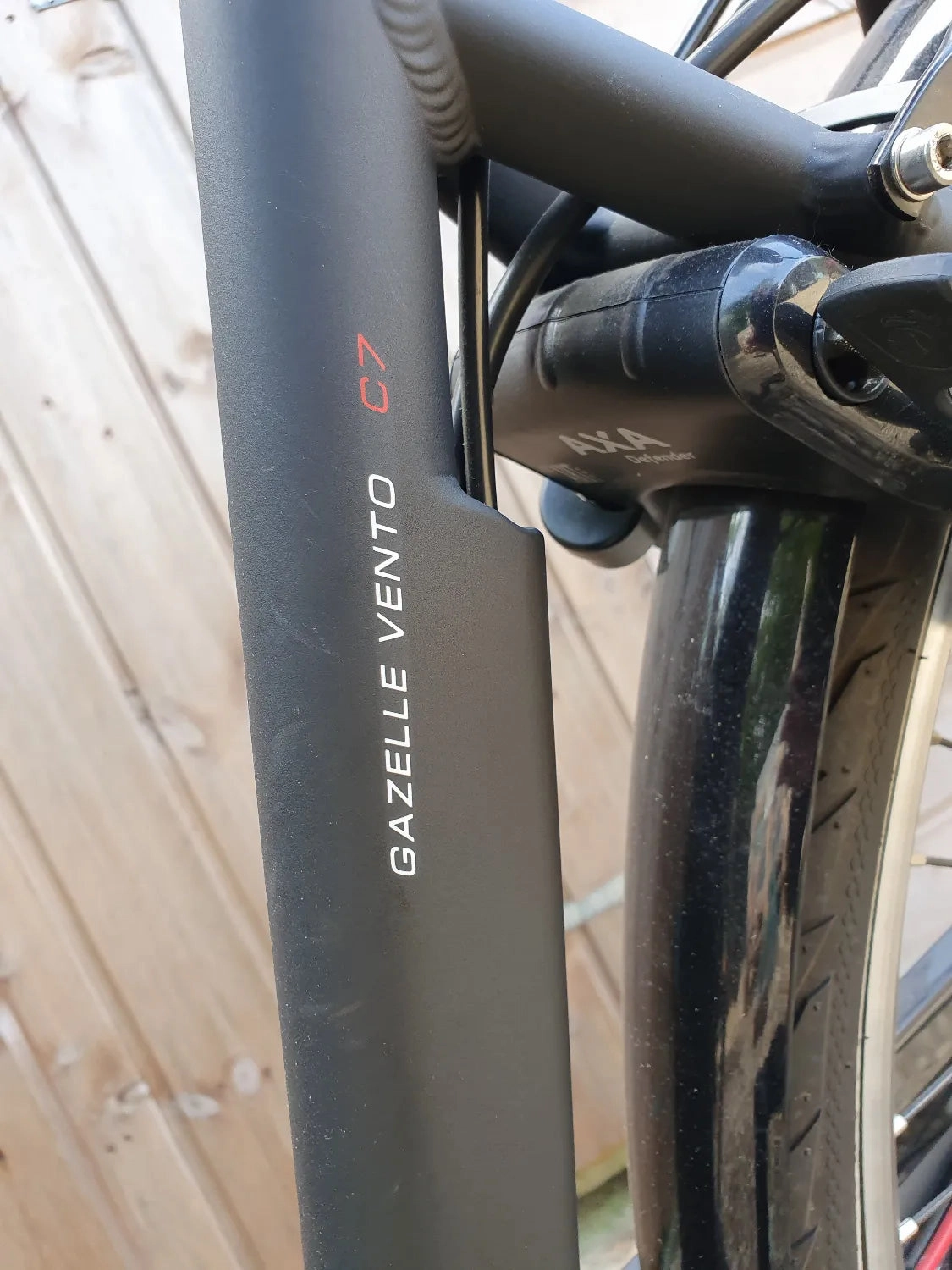 Gazelle Vento C7 2019