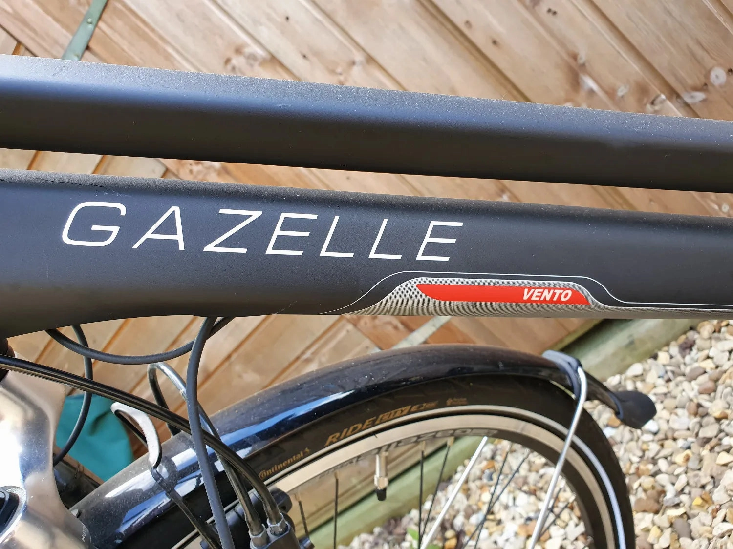 Gazelle Vento C7 2019