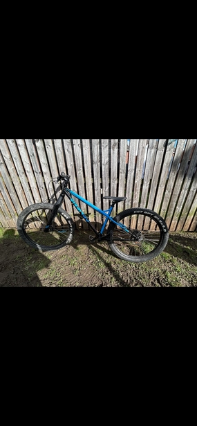 Genesis tarn 10 2017