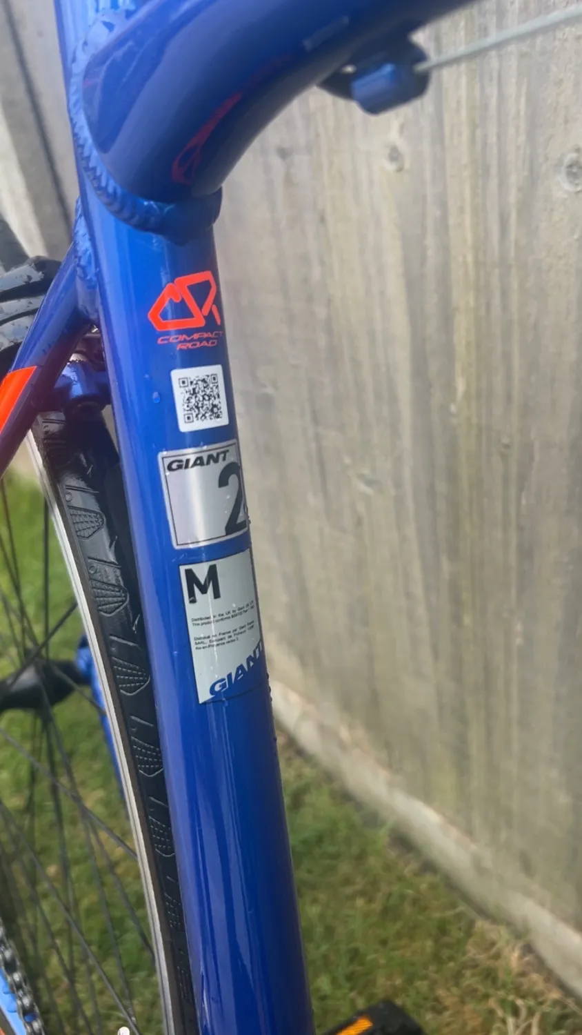 Giant Contend 2 2017
