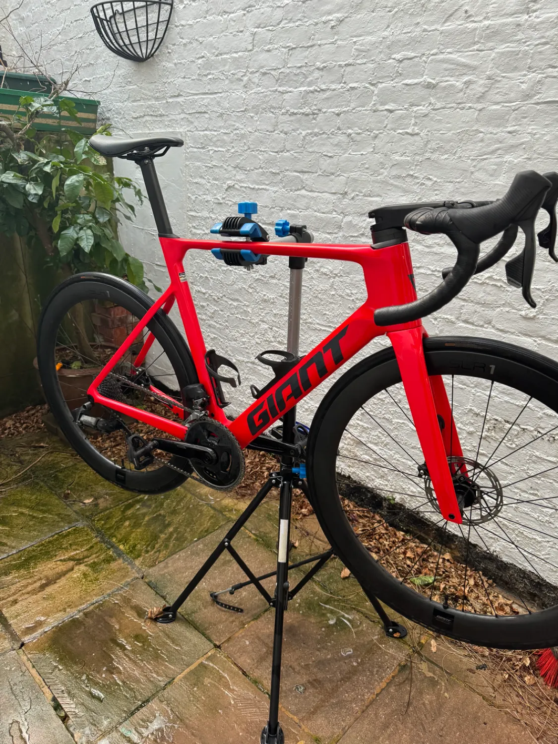 Giant Propel Advanced Pro 1 2023