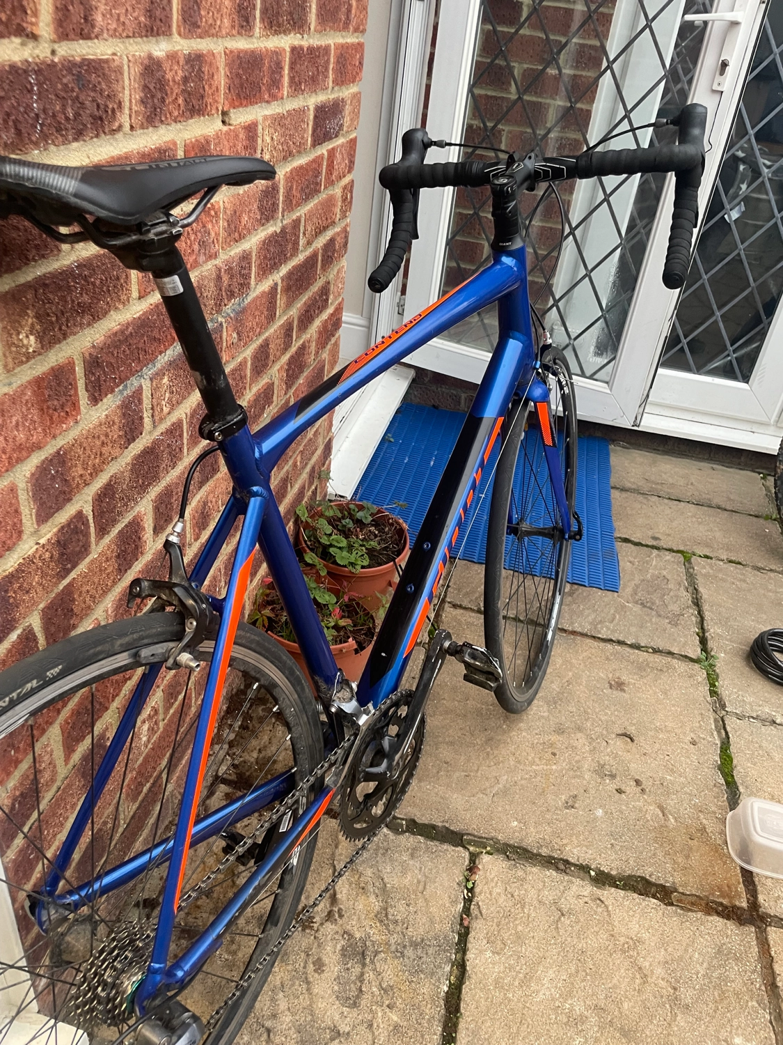 Giant Contend 2 2020