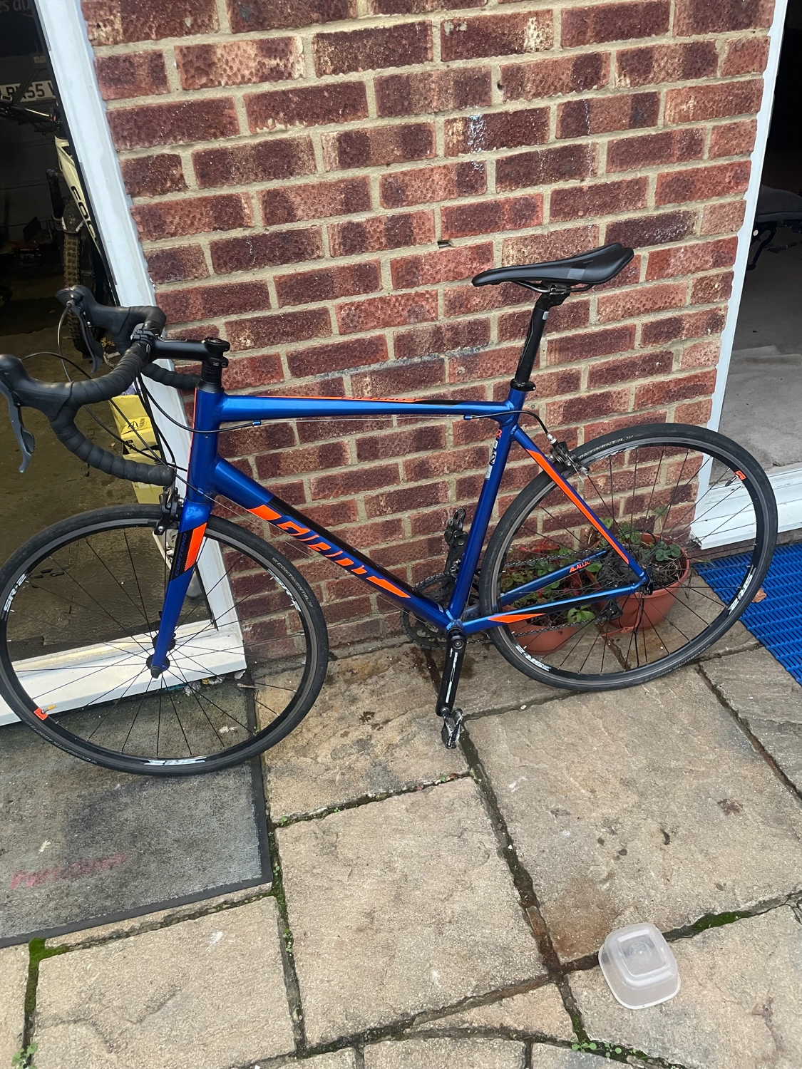 Giant Contend 2 2020