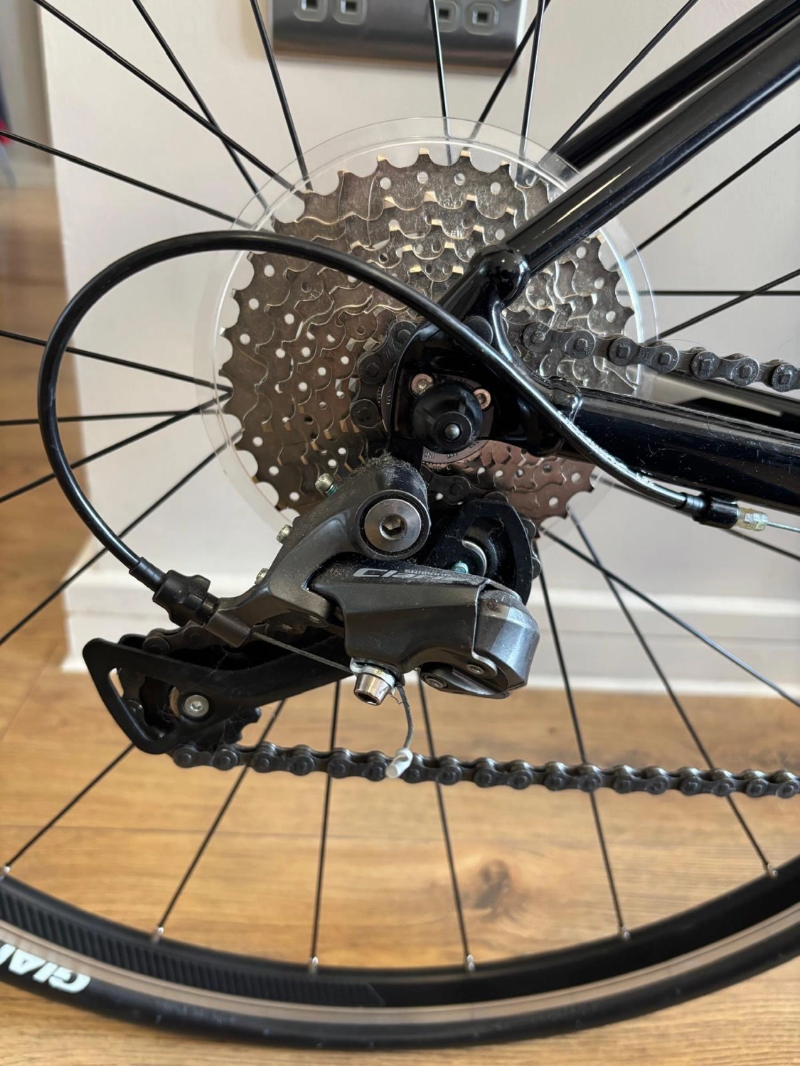 Giant Contend 2 2020