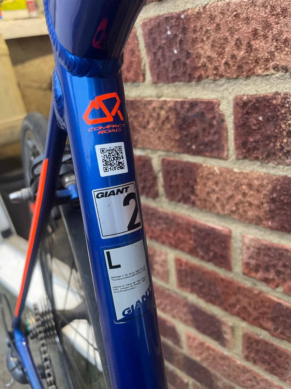 Giant Contend 2 2020